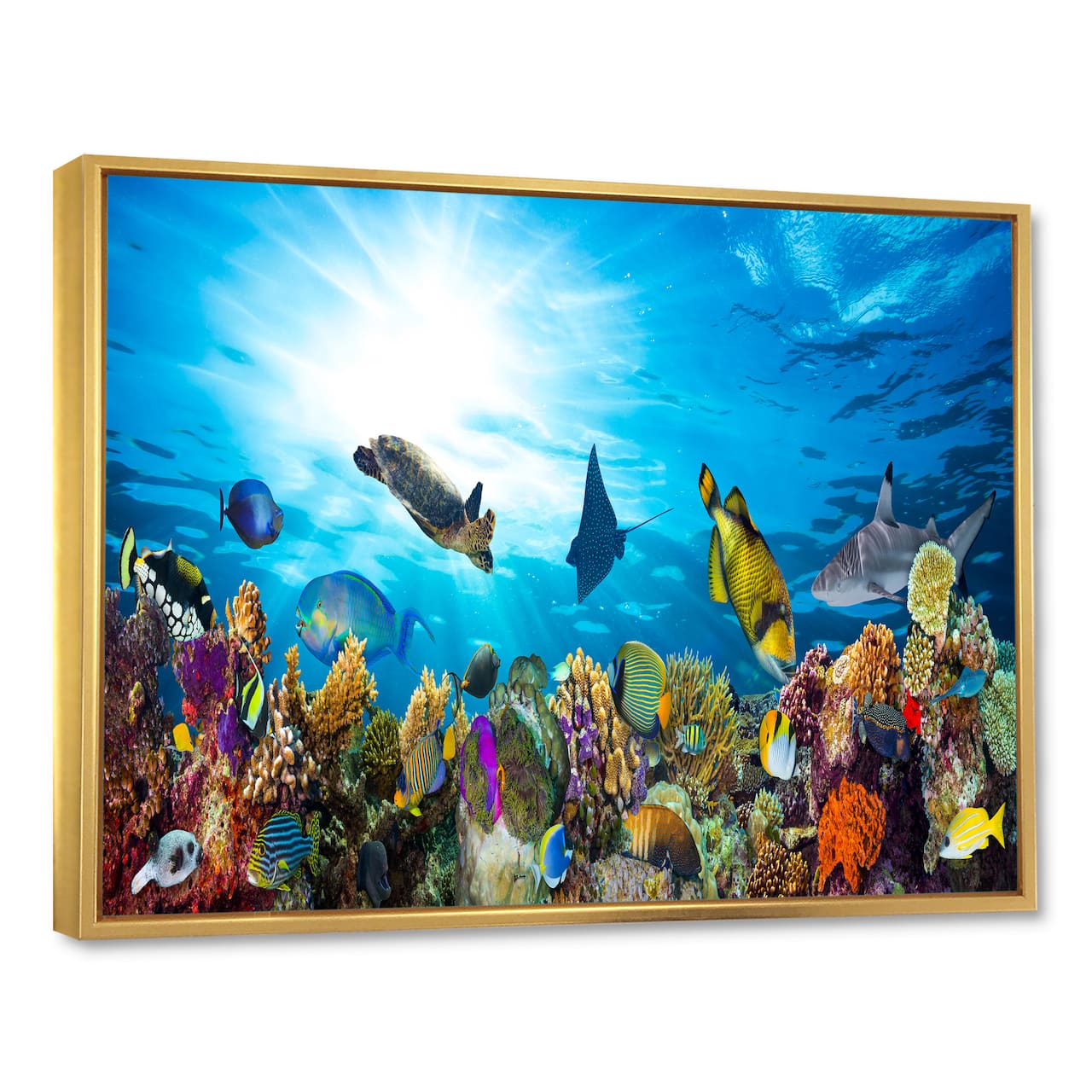 Designart - Colorful Coral Reef with Fishes - Seascape Framed Canvas Art Print